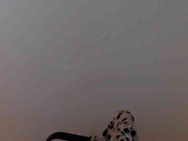 meganmiauu webcam