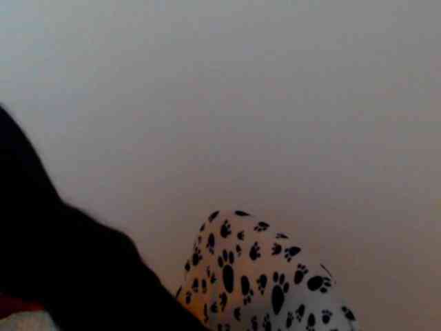 meganmiauu webcam