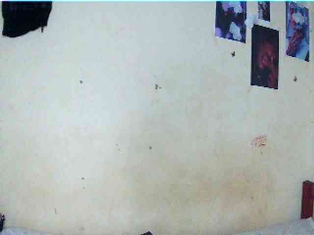 Tiff-Webstar webcam