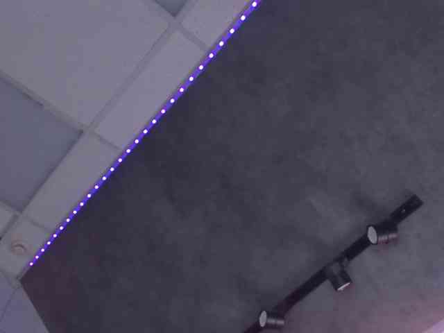 EricaElliott webcam