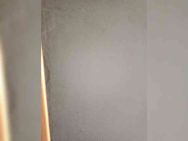 25dzhenni-i-robert webcam