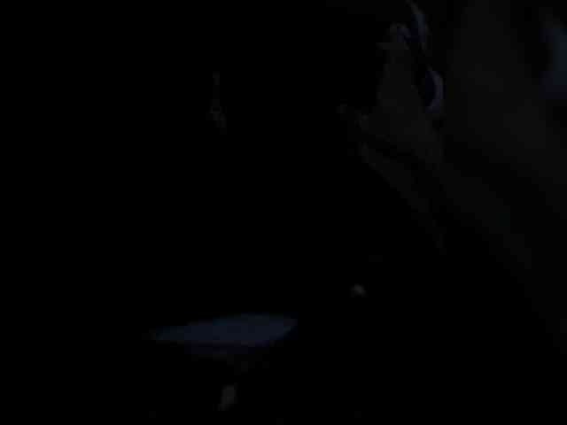 Boyskaus Sex Cam Show