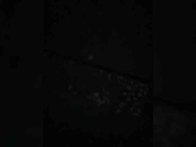 Boyskaus Sex Cam Show