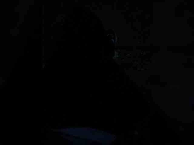 Boyskaus Sex Cam Show