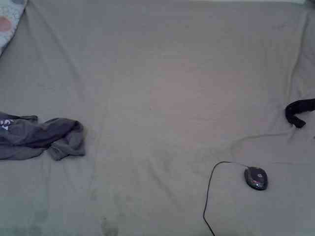 Sexxyval webcam