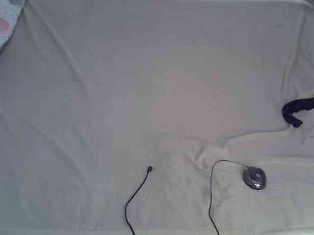 Sexxyval webcam