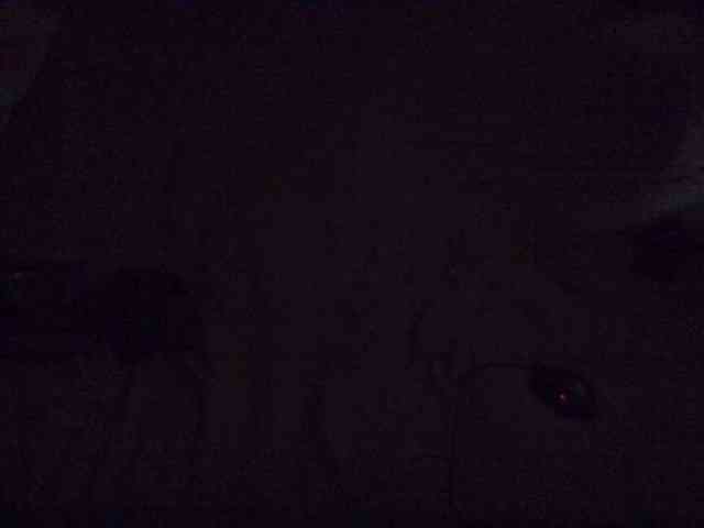 Sexxyval webcam