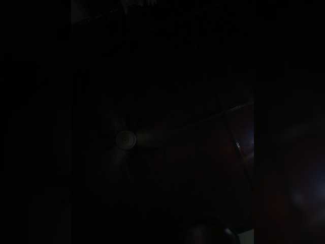 littleprincess2