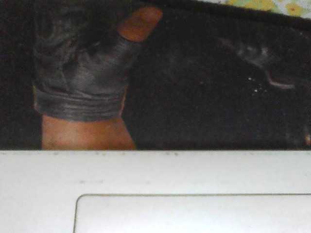 casaldelicia live cam on BongaCams