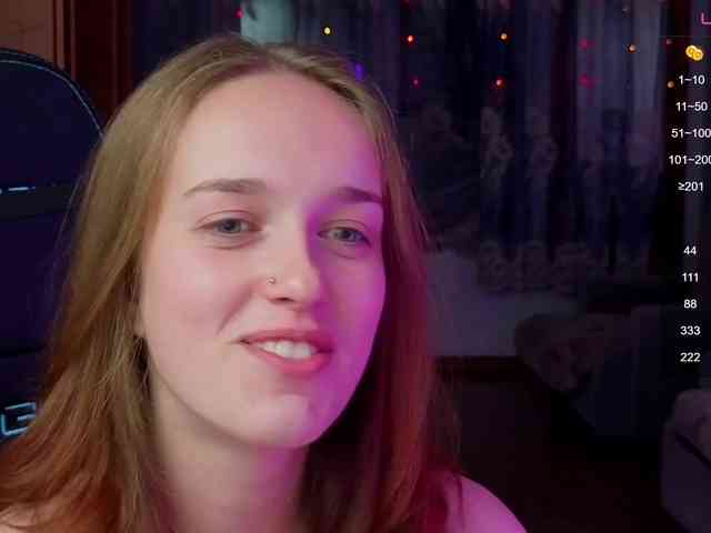 evallusion webcam