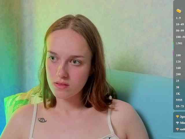 evallusion webcam