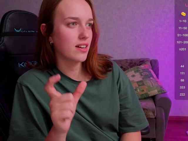 evallusion webcam