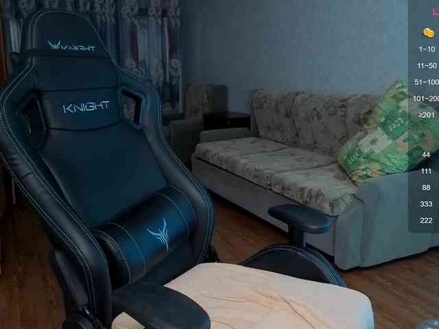 evallusion webcam