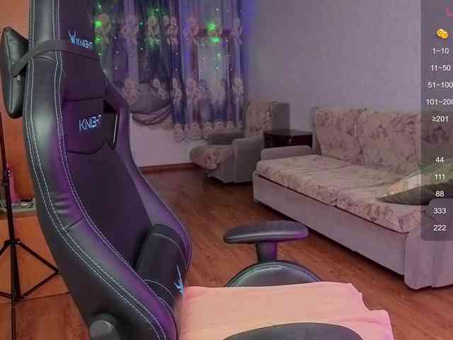 evallusion webcam