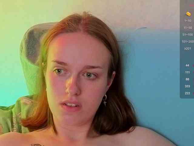 evallusion webcam