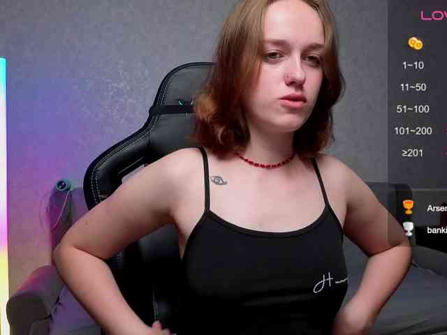 evallusion webcam