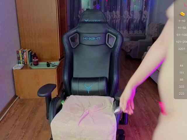 evallusion webcam