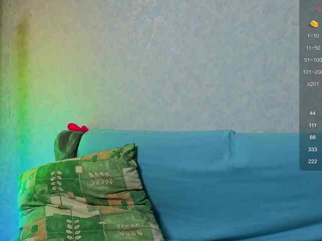 evallusion webcam