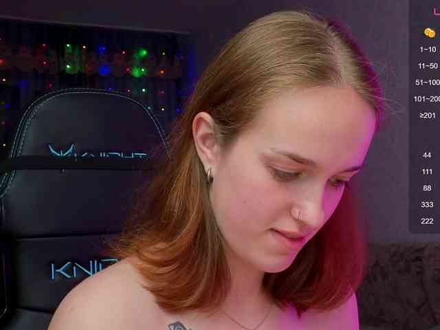 evallusion webcam