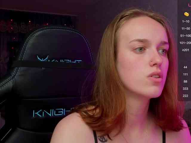 evallusion webcam