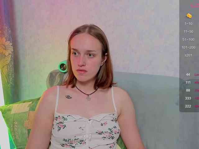evallusion webcam