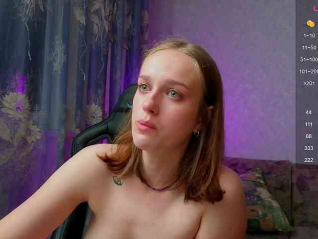evallusion webcam