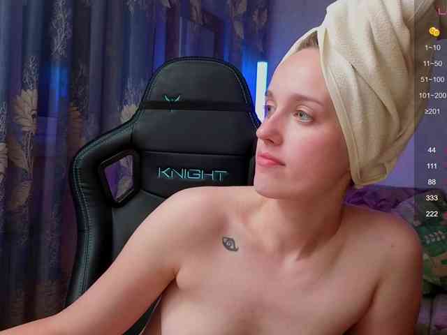 evallusion webcam