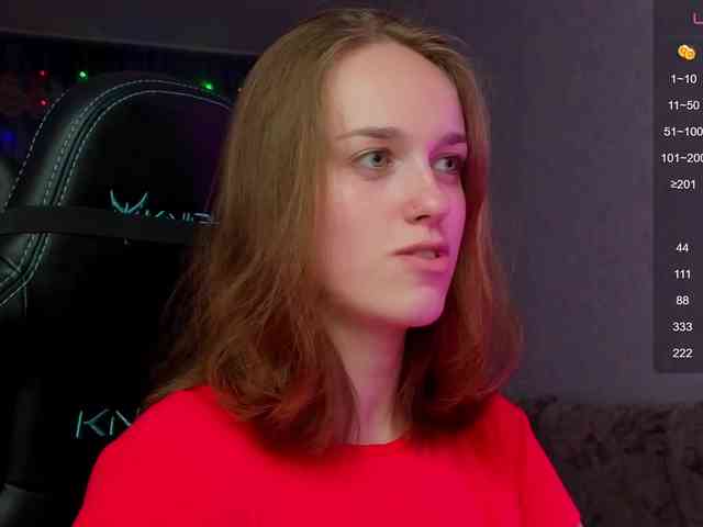 evallusion webcam