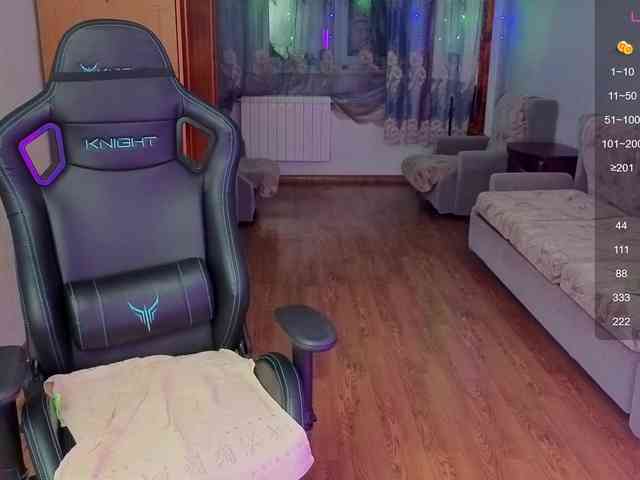 evallusion webcam