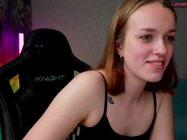 evallusion webcam