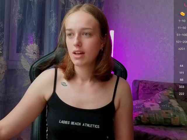 evallusion webcam