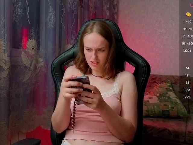evallusion webcam