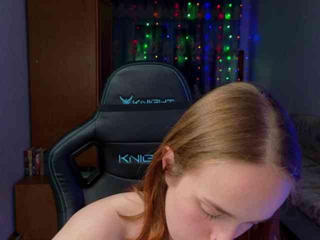 evallusion webcam