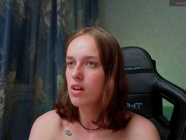 evallusion webcam