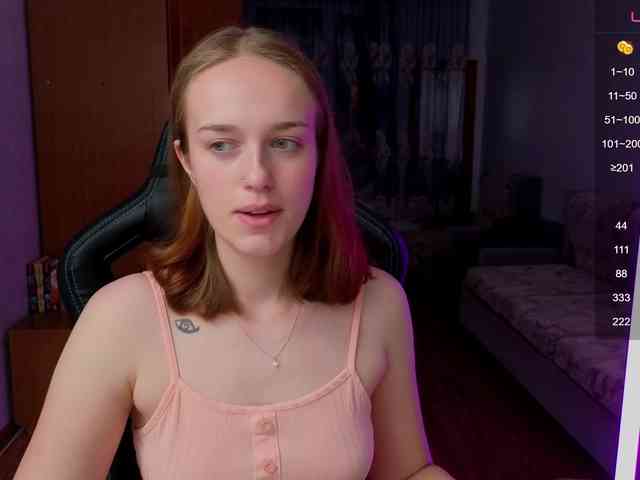 evallusion webcam
