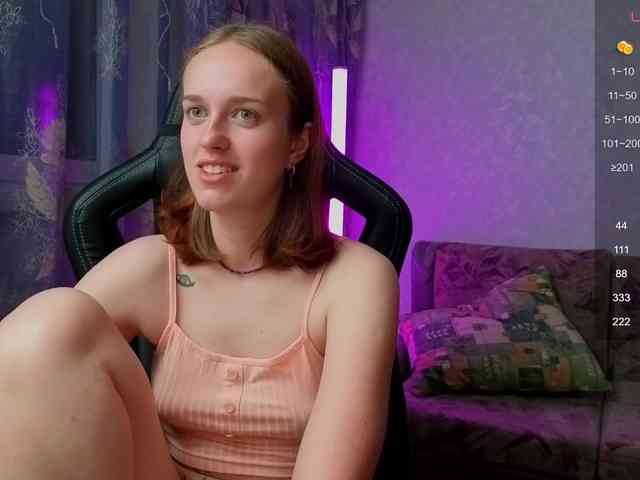 evallusion webcam