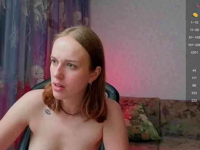 evallusion webcam