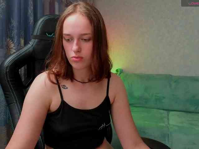 evallusion webcam