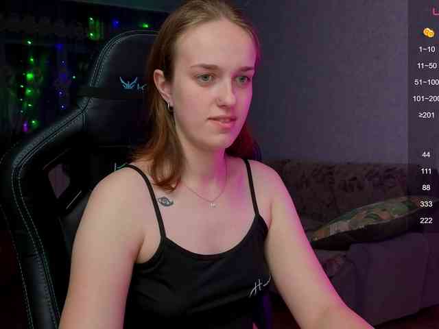 evallusion webcam