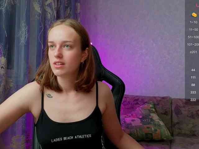 evallusion webcam