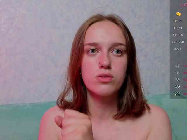 evallusion webcam