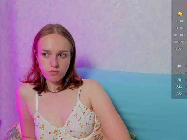 evallusion webcam