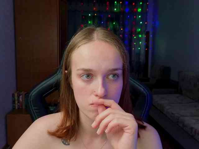 evallusion webcam