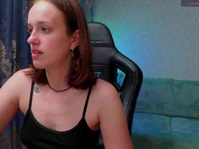 evallusion webcam