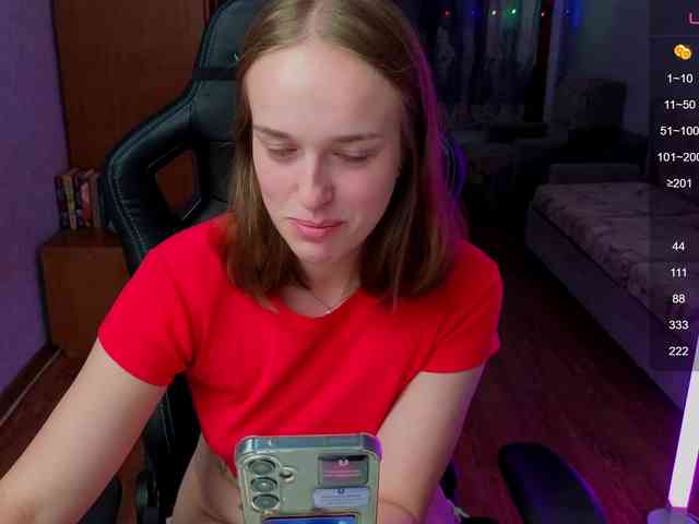 evallusion webcam
