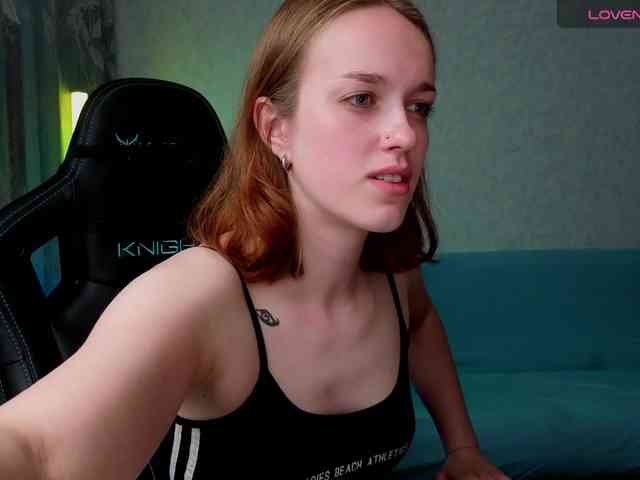 evallusion webcam
