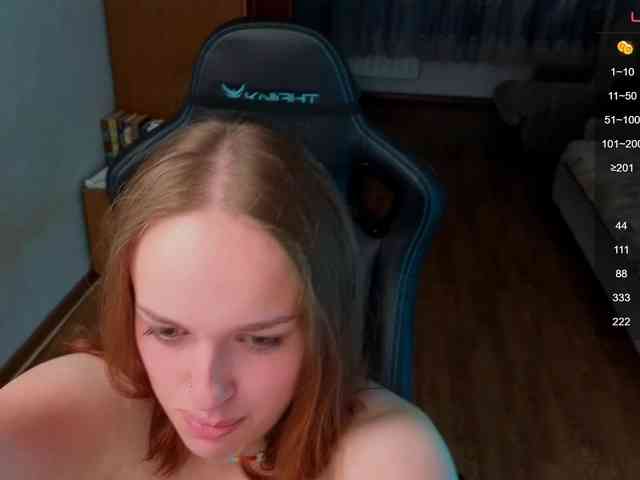 evallusion webcam