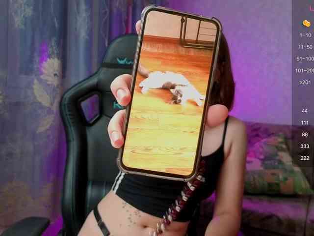 evallusion webcam
