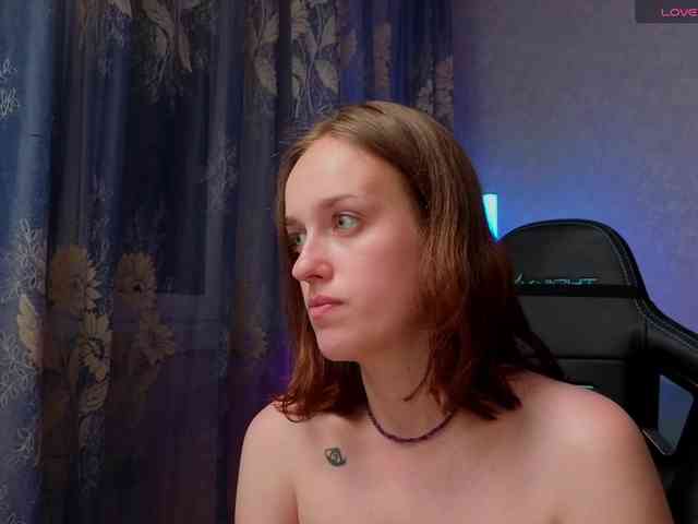 evallusion webcam