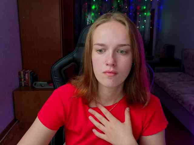 evallusion webcam